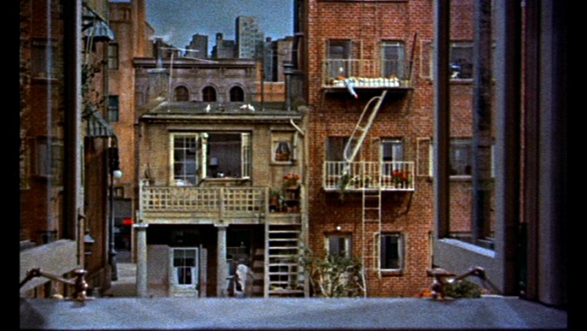 Rear Window 1954 - IMDb